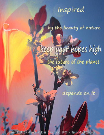 beauty of nature poem 360